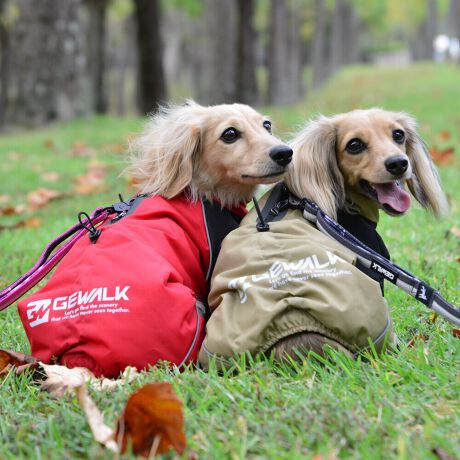 [^:LGE610-7500DM]cdwehk?@͒fނׁ̈AyʂŋC܂ނƂɂO̊CՒf܂B܂AiqɐD荞񂾍x̐n͖CɂϋvAeAʂ肵ɂAnɂ̓etH{Ă邽߁AẺɂA荂ϐAԂ̍~Jłʂ𔭊AYȏԂŒgp\łBnɂ͌dq̗pAԊOʓIt˂邱ƂŐĝKɉ߂܂B΋Cɋ߂ÂAɂȂꏊɕۊǂȂŉB@E@͔AK􂢁ERĉB܂gpĐ􂤍ۂɂ͒܂gpAY܂̎gp͔ĉBFF肷鋰ꂪ܂̂ő̕ƈꏏɐ킸AKPi􂢂ĉBԐɐZĂƐF鋰ꂪ܂B^u[͏kދꂪ܂̂łBvgE}[N̂ݐ􂢂ƃAC͂BgppxɂjAiꍇ܂Bjꂽۂɂ́ǍɂȂ܂̂ŁAɎgp𒆎~ĉBݍ񂾏ꍇɂ͂ɎoAbtɂkB