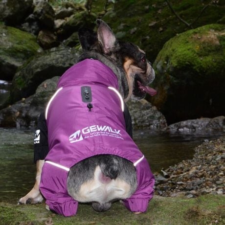 [^:LGE610-9000BM]cdwehk?@͒fނׁ̈AyʂŋC܂ނƂɂO̊CՒf܂B܂AiqɐD荞񂾍x̐n͖CɂϋvAeAʂ肵ɂAnɂ̓etH{Ă邽߁AẺɂA荂ϐAԂ̍~Jłʂ𔭊AYȏԂŒgp\łBnɂ͌dq̗pAԊOʓIt˂邱ƂŐĝKɉ߂܂B΋Cɋ߂ÂAɂȂꏊɕۊǂȂŉB@E@͔AK􂢁ERĉB܂gpĐ􂤍ۂɂ͒܂gpAY܂̎gp͔ĉBFF肷鋰ꂪ܂̂ő̕ƈꏏɐ킸AKPi􂢂ĉBԐɐZĂƐF鋰ꂪ܂B^u[͏kދꂪ܂̂łBvgE}[N̂ݐ􂢂ƃAC͂BgppxɂjAiꍇ܂Bjꂽۂɂ́ǍɂȂ܂̂ŁAɎgp𒆎~ĉBݍ񂾏ꍇɂ͂ɎoAbtɂkB