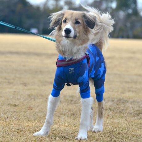 [^:LGE537-5000M][^LGE537-5000MEDIUM]EFAŜɝH{ĂADȂǂ̉ꂩ爤veNgIu4WAYX[p[Xgb`+tbgV[}Dv̗pADڂŃSȂSnƔQ̃tBbgɂ蓮₷܂B܂AōNX̎OՕłUPF50+A[ꎞł莋FłXgb`}`tN^[ɂSǋIJ̓ᒆł̂U͂ACARhbOȂǗlXȃAEghAV[ő劈̃ANeBup[XłBTCY w(cm) (cm) (cm)XS 23 32`36 20`24S 27 35`39 22`262S 29 36`40 22`26M 31 40`44 24`282M 31 44`48 26`303M 35 46`50 27`31L 38 50`54 29`332L 41 54`58 31`353L 43 58`62 33`374L 46 62`66 35`395L 49 67`71 38`42XL 55 71`75 38`422XL 58 79`83 43`473XL 61 87`91 48`524XL 65.5 89`93 52`565XL 70 92`96 57`61DS 31 36`40 23`27DM 35 40`44 26`30BS 29 48`53 33`37BM 31 53`58 36`40BL 33 55`60 39`43CGS 42 48`53 32`36CGM 47 53`58 35`39CGL 52 58`63 38`42HS 34 38`41 18`22HSM 35.5 41`44 20`24HM 37 44`47 21`25HL 40 47`50 23`27yDSzyDMzF_bNXthpyBSzyBMzyBLzFt`uhbNpyCGSzyCGMzyCGLzFR[M[pyHSzyHSMzyHMzyHLzFnEhnp