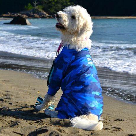 [^:LGE537-5500M][^LGE537-5500MEDIUM]EFAŜɝH{ĂADȂǂ̉ꂩ爤veNgIu4WAYX[p[Xgb`+tbgV[}Dv̗pADڂŃSȂSnƔQ̃tBbgɂ蓮₷܂B܂AōNX̎OՕłUPF50+A[ꎞł莋FłXgb`}`tN^[ɂSǋIJ̓ᒆł̂U͂ACARhbOȂǗlXȃAEghAV[ő劈̃ANeBup[XłBTCY w(cm) (cm) (cm)XS 23 32`36 20`24S 27 35`39 22`262S 29 36`40 22`26M 31 40`44 24`282M 31 44`48 26`303M 35 46`50 27`31L 38 50`54 29`332L 41 54`58 31`353L 43 58`62 33`374L 46 62`66 35`395L 49 67`71 38`42XL 55 71`75 38`422XL 58 79`83 43`473XL 61 87`91 48`524XL 65.5 89`93 52`565XL 70 92`96 57`61DS 31 36`40 23`27DM 35 40`44 26`30BS 29 48`53 33`37BM 31 53`58 36`40BL 33 55`60 39`43CGS 42 48`53 32`36CGM 47 53`58 35`39CGL 52 58`63 38`42HS 34 38`41 18`22HSM 35.5 41`44 20`24HM 37 44`47 21`25HL 40 47`50 23`27yDSzyDMzF_bNXthpyBSzyBMzyBLzFt`uhbNpyCGSzyCGMzyCGLzFR[M[pyHSzyHSMzyHMzyHLzFnEhnp