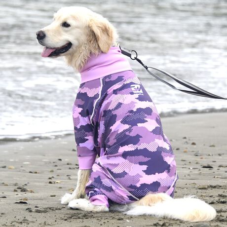 [^:LGE537-8000L][^LGE537-8000LARGE]EFAŜɝH{ĂADȂǂ̉ꂩ爤veNgIu4WAYX[p[Xgb`+tbgV[}Dv̗pADڂŃSȂSnƔQ̃tBbgɂ蓮₷܂B܂AōNX̎OՕłUPF50+A[ꎞł莋FłXgb`}`tN^[ɂSǋIJ̓ᒆł̂U͂ACARhbOȂǗlXȃAEghAV[ő劈̃ANeBup[XłBTCY w(cm) (cm) (cm)XS 23 32`36 20`24S 27 35`39 22`262S 29 36`40 22`26M 31 40`44 24`282M 31 44`48 26`303M 35 46`50 27`31L 38 50`54 29`332L 41 54`58 31`353L 43 58`62 33`374L 46 62`66 35`395L 49 67`71 38`42XL 55 71`75 38`422XL 58 79`83 43`473XL 61 87`91 48`524XL 65.5 89`93 52`565XL 70 92`96 57`61DS 31 36`40 23`27DM 35 40`44 26`30BS 29 48`53 33`37BM 31 53`58 36`40BL 33 55`60 39`43CGS 42 48`53 32`36CGM 47 53`58 35`39CGL 52 58`63 38`42HS 34 38`41 18`22HSM 35.5 41`44 20`24HM 37 44`47 21`25HL 40 47`50 23`27yDSzyDMzF_bNXthpyBSzyBMzyBLzFt`uhbNpyCGSzyCGMzyCGLzFR[M[pyHSzyHSMzyHMzyHLzFnEhnp