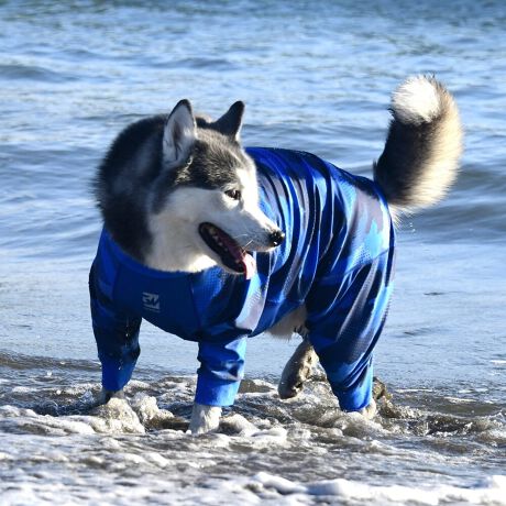 [^:LGE537-9500L][^LGE537-9500LARGE]EFAŜɝH{ĂADȂǂ̉ꂩ爤veNgIu4WAYX[p[Xgb`+tbgV[}Dv̗pADڂŃSȂSnƔQ̃tBbgɂ蓮₷܂B܂AōNX̎OՕłUPF50+A[ꎞł莋FłXgb`}`tN^[ɂSǋIJ̓ᒆł̂U͂ACARhbOȂǗlXȃAEghAV[ő劈̃ANeBup[XłBTCY w(cm) (cm) (cm)XS 23 32`36 20`24S 27 35`39 22`262S 29 36`40 22`26M 31 40`44 24`282M 31 44`48 26`303M 35 46`50 27`31L 38 50`54 29`332L 41 54`58 31`353L 43 58`62 33`374L 46 62`66 35`395L 49 67`71 38`42XL 55 71`75 38`422XL 58 79`83 43`473XL 61 87`91 48`524XL 65.5 89`93 52`565XL 70 92`96 57`61DS 31 36`40 23`27DM 35 40`44 26`30BS 29 48`53 33`37BM 31 53`58 36`40BL 33 55`60 39`43CGS 42 48`53 32`36CGM 47 53`58 35`39CGL 52 58`63 38`42HS 34 38`41 18`22HSM 35.5 41`44 20`24HM 37 44`47 21`25HL 40 47`50 23`27yDSzyDMzF_bNXthpyBSzyBMzyBLzFt`uhbNpyCGSzyCGMzyCGLzFR[M[pyHSzyHSMzyHMzyHLzFnEhnp