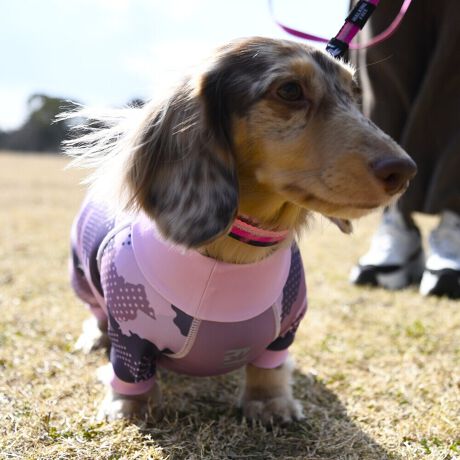 [^:LGE537-3500MD][^LGE537-3500MD]EFAŜɝH{ĂADȂǂ̉ꂩ爤veNgIu4WAYX[p[Xgb`+tbgV[}Dv̗pADڂŃSȂSnƔQ̃tBbgɂ蓮₷܂B܂AōNX̎OՕłUPF50+A[ꎞł莋FłXgb`}`tN^[ɂSǋIJ̓ᒆł̂U͂ACARhbOȂǗlXȃAEghAV[ő劈̃ANeBup[XłBTCY w(cm) (cm) (cm)XS 23 32`36 20`24S 27 35`39 22`262S 29 36`40 22`26M 31 40`44 24`282M 31 44`48 26`303M 35 46`50 27`31L 38 50`54 29`332L 41 54`58 31`353L 43 58`62 33`374L 46 62`66 35`395L 49 67`71 38`42XL 55 71`75 38`422XL 58 79`83 43`473XL 61 87`91 48`524XL 65.5 89`93 52`565XL 70 92`96 57`61DS 31 36`40 23`27DM 35 40`44 26`30BS 29 48`53 33`37BM 31 53`58 36`40BL 33 55`60 39`43CGS 42 48`53 32`36CGM 47 53`58 35`39CGL 52 58`63 38`42HS 34 38`41 18`22HSM 35.5 41`44 20`24HM 37 44`47 21`25HL 40 47`50 23`27yDSzyDMzF_bNXthpyBSzyBMzyBLzFt`uhbNpyCGSzyCGMzyCGLzFR[M[pyHSzyHSMzyHMzyHLzFnEhnp