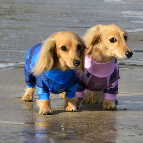 [^:LGE537-4000MD][^LGE537-4000MD]EFAŜɝH{ĂADȂǂ̉ꂩ爤veNgIu4WAYX[p[Xgb`+tbgV[}Dv̗pADڂŃSȂSnƔQ̃tBbgɂ蓮₷܂B܂AōNX̎OՕłUPF50+A[ꎞł莋FłXgb`}`tN^[ɂSǋIJ̓ᒆł̂U͂ACARhbOȂǗlXȃAEghAV[ő劈̃ANeBup[XłBTCY w(cm) (cm) (cm)XS 23 32`36 20`24S 27 35`39 22`262S 29 36`40 22`26M 31 40`44 24`282M 31 44`48 26`303M 35 46`50 27`31L 38 50`54 29`332L 41 54`58 31`353L 43 58`62 33`374L 46 62`66 35`395L 49 67`71 38`42XL 55 71`75 38`422XL 58 79`83 43`473XL 61 87`91 48`524XL 65.5 89`93 52`565XL 70 92`96 57`61DS 31 36`40 23`27DM 35 40`44 26`30BS 29 48`53 33`37BM 31 53`58 36`40BL 33 55`60 39`43CGS 42 48`53 32`36CGM 47 53`58 35`39CGL 52 58`63 38`42HS 34 38`41 18`22HSM 35.5 41`44 20`24HM 37 44`47 21`25HL 40 47`50 23`27yDSzyDMzF_bNXthpyBSzyBMzyBLzFt`uhbNpyCGSzyCGMzyCGLzFR[M[pyHSzyHSMzyHMzyHLzFnEhnp