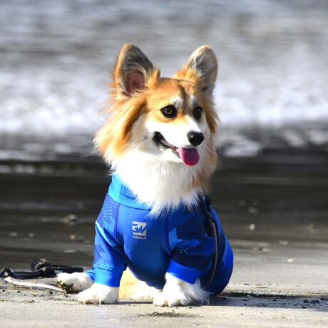 [^:LGE537-4500CG][^LGE537-4500CG]EFAŜɝH{ĂADȂǂ̉ꂩ爤veNgIu4WAYX[p[Xgb`+tbgV[}Dv̗pADڂŃSȂSnƔQ̃tBbgɂ蓮₷܂B܂AōNX̎OՕłUPF50+A[ꎞł莋FłXgb`}`tN^[ɂSǋIJ̓ᒆł̂U͂ACARhbOȂǗlXȃAEghAV[ő劈̃ANeBup[XłBTCY w(cm) (cm) (cm)XS 23 32`36 20`24S 27 35`39 22`262S 29 36`40 22`26M 31 40`44 24`282M 31 44`48 26`303M 35 46`50 27`31L 38 50`54 29`332L 41 54`58 31`353L 43 58`62 33`374L 46 62`66 35`395L 49 67`71 38`42XL 55 71`75 38`422XL 58 79`83 43`473XL 61 87`91 48`524XL 65.5 89`93 52`565XL 70 92`96 57`61DS 31 36`40 23`27DM 35 40`44 26`30BS 29 48`53 33`37BM 31 53`58 36`40BL 33 55`60 39`43CGS 42 48`53 32`36CGM 47 53`58 35`39CGL 52 58`63 38`42HS 34 38`41 18`22HSM 35.5 41`44 20`24HM 37 44`47 21`25HL 40 47`50 23`27yDSzyDMzF_bNXthpyBSzyBMzyBLzFt`uhbNpyCGSzyCGMzyCGLzFR[M[pyHSzyHSMzyHMzyHLzFnEhnp