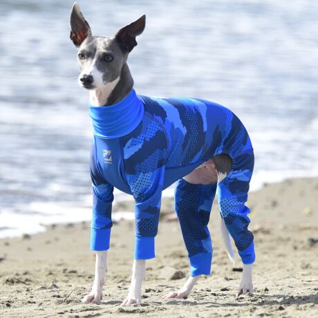 [^:LGE537-4500HO][^LGE537-4500HO]EFAŜɝH{ĂADȂǂ̉ꂩ爤veNgIu4WAYX[p[Xgb`+tbgV[}Dv̗pADڂŃSȂSnƔQ̃tBbgɂ蓮₷܂B܂AōNX̎OՕłUPF50+A[ꎞł莋FłXgb`}`tN^[ɂSǋIJ̓ᒆł̂U͂ACARhbOȂǗlXȃAEghAV[ő劈̃ANeBup[XłBTCY w(cm) (cm) (cm)XS 23 32`36 20`24S 27 35`39 22`262S 29 36`40 22`26M 31 40`44 24`282M 31 44`48 26`303M 35 46`50 27`31L 38 50`54 29`332L 41 54`58 31`353L 43 58`62 33`374L 46 62`66 35`395L 49 67`71 38`42XL 55 71`75 38`422XL 58 79`83 43`473XL 61 87`91 48`524XL 65.5 89`93 52`565XL 70 92`96 57`61DS 31 36`40 23`27DM 35 40`44 26`30BS 29 48`53 33`37BM 31 53`58 36`40BL 33 55`60 39`43CGS 42 48`53 32`36CGM 47 53`58 35`39CGL 52 58`63 38`42HS 34 38`41 18`22HSM 35.5 41`44 20`24HM 37 44`47 21`25HL 40 47`50 23`27yDSzyDMzF_bNXthpyBSzyBMzyBLzFt`uhbNpyCGSzyCGMzyCGLzFR[M[pyHSzyHSMzyHMzyHLzFnEhnp