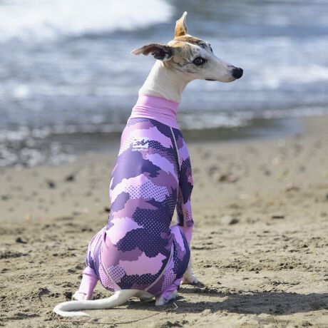 [^:LGE537-5000HO][^LGE537-5000HO]EFAŜɝH{ĂADȂǂ̉ꂩ爤veNgIu4WAYX[p[Xgb`+tbgV[}Dv̗pADڂŃSȂSnƔQ̃tBbgɂ蓮₷܂B܂AōNX̎OՕłUPF50+A[ꎞł莋FłXgb`}`tN^[ɂSǋIJ̓ᒆł̂U͂ACARhbOȂǗlXȃAEghAV[ő劈̃ANeBup[XłBTCY w(cm) (cm) (cm)XS 23 32`36 20`24S 27 35`39 22`262S 29 36`40 22`26M 31 40`44 24`282M 31 44`48 26`303M 35 46`50 27`31L 38 50`54 29`332L 41 54`58 31`353L 43 58`62 33`374L 46 62`66 35`395L 49 67`71 38`42XL 55 71`75 38`422XL 58 79`83 43`473XL 61 87`91 48`524XL 65.5 89`93 52`565XL 70 92`96 57`61DS 31 36`40 23`27DM 35 40`44 26`30BS 29 48`53 33`37BM 31 53`58 36`40BL 33 55`60 39`43CGS 42 48`53 32`36CGM 47 53`58 35`39CGL 52 58`63 38`42HS 34 38`41 18`22HSM 35.5 41`44 20`24HM 37 44`47 21`25HL 40 47`50 23`27yDSzyDMzF_bNXthpyBSzyBMzyBLzFt`uhbNpyCGSzyCGMzyCGLzFR[M[pyHSzyHSMzyHMzyHLzFnEhnp