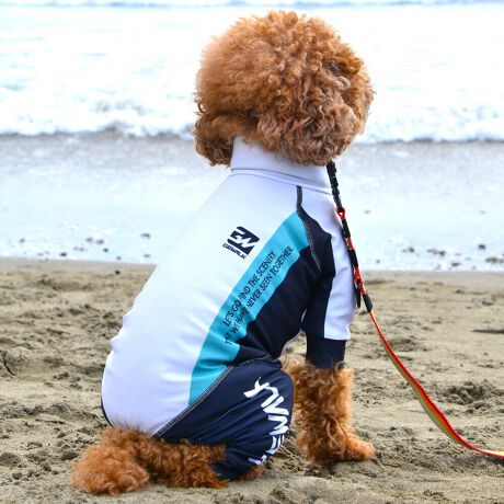 [^:LGE538-3500S][^LGE538-3500SMALL]EFAŜɝH{ĂADȂǂ̉ꂩ爤veNgIu4WAYX[p[Xgb`+tbgV[}Dv̗pADڂŃSȂSnƔQ̃tBbgɂ蓮₷܂B܂AōNX̎OՕłUPF50+A[ꎞł莋FłXgb`}`tN^[ɂSǋIJ̓ᒆł̂U͂ACARhbOȂǗlXȃAEghAV[ő劈̃ANeBup[XłBTCY w(cm) (cm) (cm)XS 23 32`36 20`24S 27 35`39 22`262S 29 36`40 22`26M 31 40`44 24`282M 31 44`48 26`303M 35 46`50 27`31L 38 50`54 29`332L 41 54`58 31`353L 43 58`62 33`374L 46 62`66 35`395L 49 67`71 38`42XL 55 71`75 38`422XL 58 79`83 43`473XL 61 87`91 48`524XL 65.5 89`93 52`565XL 70 92`96 57`61DS 31 36`40 23`27DM 35 40`44 26`30BS 29 48`53 33`37BM 31 53`58 36`40BL 33 55`60 39`43CGS 42 48`53 32`36CGM 47 53`58 35`39CGL 52 58`63 38`42HS 34 38`41 18`22HSM 35.5 41`44 20`24HM 37 44`47 21`25HL 40 47`50 23`27yDSzyDMzF_bNXthpyBSzyBMzyBLzFt`uhbNpyCGSzyCGMzyCGLzFR[M[pyHSzyHSMzyHMzyHLzFnEhnp