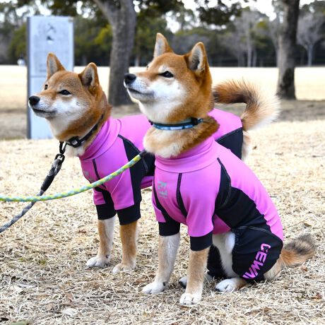 [^:LGE538-5500M][^LGE538-5500MEDIUM]EFAŜɝH{ĂADȂǂ̉ꂩ爤veNgIu4WAYX[p[Xgb`+tbgV[}Dv̗pADڂŃSȂSnƔQ̃tBbgɂ蓮₷܂B܂AōNX̎OՕłUPF50+A[ꎞł莋FłXgb`}`tN^[ɂSǋIJ̓ᒆł̂U͂ACARhbOȂǗlXȃAEghAV[ő劈̃ANeBup[XłBTCY w(cm) (cm) (cm)XS 23 32`36 20`24S 27 35`39 22`262S 29 36`40 22`26M 31 40`44 24`282M 31 44`48 26`303M 35 46`50 27`31L 38 50`54 29`332L 41 54`58 31`353L 43 58`62 33`374L 46 62`66 35`395L 49 67`71 38`42XL 55 71`75 38`422XL 58 79`83 43`473XL 61 87`91 48`524XL 65.5 89`93 52`565XL 70 92`96 57`61DS 31 36`40 23`27DM 35 40`44 26`30BS 29 48`53 33`37BM 31 53`58 36`40BL 33 55`60 39`43CGS 42 48`53 32`36CGM 47 53`58 35`39CGL 52 58`63 38`42HS 34 38`41 18`22HSM 35.5 41`44 20`24HM 37 44`47 21`25HL 40 47`50 23`27yDSzyDMzF_bNXthpyBSzyBMzyBLzFt`uhbNpyCGSzyCGMzyCGLzFR[M[pyHSzyHSMzyHMzyHLzFnEhnp