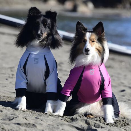 [^:LGE538-6000M][^LGE538-6000MEDIUM]EFAŜɝH{ĂADȂǂ̉ꂩ爤veNgIu4WAYX[p[Xgb`+tbgV[}Dv̗pADڂŃSȂSnƔQ̃tBbgɂ蓮₷܂B܂AōNX̎OՕłUPF50+A[ꎞł莋FłXgb`}`tN^[ɂSǋIJ̓ᒆł̂U͂ACARhbOȂǗlXȃAEghAV[ő劈̃ANeBup[XłBTCY w(cm) (cm) (cm)XS 23 32`36 20`24S 27 35`39 22`262S 29 36`40 22`26M 31 40`44 24`282M 31 44`48 26`303M 35 46`50 27`31L 38 50`54 29`332L 41 54`58 31`353L 43 58`62 33`374L 46 62`66 35`395L 49 67`71 38`42XL 55 71`75 38`422XL 58 79`83 43`473XL 61 87`91 48`524XL 65.5 89`93 52`565XL 70 92`96 57`61DS 31 36`40 23`27DM 35 40`44 26`30BS 29 48`53 33`37BM 31 53`58 36`40BL 33 55`60 39`43CGS 42 48`53 32`36CGM 47 53`58 35`39CGL 52 58`63 38`42HS 34 38`41 18`22HSM 35.5 41`44 20`24HM 37 44`47 21`25HL 40 47`50 23`27yDSzyDMzF_bNXthpyBSzyBMzyBLzFt`uhbNpyCGSzyCGMzyCGLzFR[M[pyHSzyHSMzyHMzyHLzFnEhnp