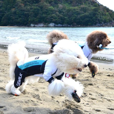 [^:LGE538-7000M][^LGE538-7000MEDIUM]EFAŜɝH{ĂADȂǂ̉ꂩ爤veNgIu4WAYX[p[Xgb`+tbgV[}Dv̗pADڂŃSȂSnƔQ̃tBbgɂ蓮₷܂B܂AōNX̎OՕłUPF50+A[ꎞł莋FłXgb`}`tN^[ɂSǋIJ̓ᒆł̂U͂ACARhbOȂǗlXȃAEghAV[ő劈̃ANeBup[XłBTCY w(cm) (cm) (cm)XS 23 32`36 20`24S 27 35`39 22`262S 29 36`40 22`26M 31 40`44 24`282M 31 44`48 26`303M 35 46`50 27`31L 38 50`54 29`332L 41 54`58 31`353L 43 58`62 33`374L 46 62`66 35`395L 49 67`71 38`42XL 55 71`75 38`422XL 58 79`83 43`473XL 61 87`91 48`524XL 65.5 89`93 52`565XL 70 92`96 57`61DS 31 36`40 23`27DM 35 40`44 26`30BS 29 48`53 33`37BM 31 53`58 36`40BL 33 55`60 39`43CGS 42 48`53 32`36CGM 47 53`58 35`39CGL 52 58`63 38`42HS 34 38`41 18`22HSM 35.5 41`44 20`24HM 37 44`47 21`25HL 40 47`50 23`27yDSzyDMzF_bNXthpyBSzyBMzyBLzFt`uhbNpyCGSzyCGMzyCGLzFR[M[pyHSzyHSMzyHMzyHLzFnEhnp