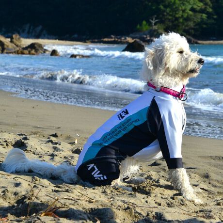 [^:LGE538-8000L][^LGE538-8000LARGE]EFAŜɝH{ĂADȂǂ̉ꂩ爤veNgIu4WAYX[p[Xgb`+tbgV[}Dv̗pADڂŃSȂSnƔQ̃tBbgɂ蓮₷܂B܂AōNX̎OՕłUPF50+A[ꎞł莋FłXgb`}`tN^[ɂSǋIJ̓ᒆł̂U͂ACARhbOȂǗlXȃAEghAV[ő劈̃ANeBup[XłBTCY w(cm) (cm) (cm)XS 23 32`36 20`24S 27 35`39 22`262S 29 36`40 22`26M 31 40`44 24`282M 31 44`48 26`303M 35 46`50 27`31L 38 50`54 29`332L 41 54`58 31`353L 43 58`62 33`374L 46 62`66 35`395L 49 67`71 38`42XL 55 71`75 38`422XL 58 79`83 43`473XL 61 87`91 48`524XL 65.5 89`93 52`565XL 70 92`96 57`61DS 31 36`40 23`27DM 35 40`44 26`30BS 29 48`53 33`37BM 31 53`58 36`40BL 33 55`60 39`43CGS 42 48`53 32`36CGM 47 53`58 35`39CGL 52 58`63 38`42HS 34 38`41 18`22HSM 35.5 41`44 20`24HM 37 44`47 21`25HL 40 47`50 23`27yDSzyDMzF_bNXthpyBSzyBMzyBLzFt`uhbNpyCGSzyCGMzyCGLzFR[M[pyHSzyHSMzyHMzyHLzFnEhnp