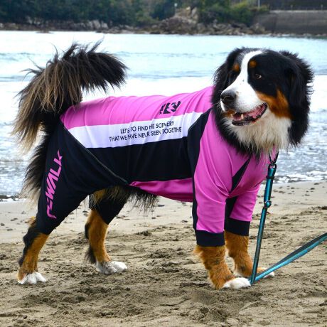 [^:LGE538-10500L][^LGE538-10500LARGE]EFAŜɝH{ĂADȂǂ̉ꂩ爤veNgIu4WAYX[p[Xgb`+tbgV[}Dv̗pADڂŃSȂSnƔQ̃tBbgɂ蓮₷܂B܂AōNX̎OՕłUPF50+A[ꎞł莋FłXgb`}`tN^[ɂSǋIJ̓ᒆł̂U͂ACARhbOȂǗlXȃAEghAV[ő劈̃ANeBup[XłBTCY w(cm) (cm) (cm)XS 23 32`36 20`24S 27 35`39 22`262S 29 36`40 22`26M 31 40`44 24`282M 31 44`48 26`303M 35 46`50 27`31L 38 50`54 29`332L 41 54`58 31`353L 43 58`62 33`374L 46 62`66 35`395L 49 67`71 38`42XL 55 71`75 38`422XL 58 79`83 43`473XL 61 87`91 48`524XL 65.5 89`93 52`565XL 70 92`96 57`61DS 31 36`40 23`27DM 35 40`44 26`30BS 29 48`53 33`37BM 31 53`58 36`40BL 33 55`60 39`43CGS 42 48`53 32`36CGM 47 53`58 35`39CGL 52 58`63 38`42HS 34 38`41 18`22HSM 35.5 41`44 20`24HM 37 44`47 21`25HL 40 47`50 23`27yDSzyDMzF_bNXthpyBSzyBMzyBLzFt`uhbNpyCGSzyCGMzyCGLzFR[M[pyHSzyHSMzyHMzyHLzFnEhnp