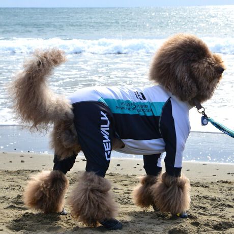 [^:LGE538-11500L][^LGE538-11500LARGE]EFAŜɝH{ĂADȂǂ̉ꂩ爤veNgIu4WAYX[p[Xgb`+tbgV[}Dv̗pADڂŃSȂSnƔQ̃tBbgɂ蓮₷܂B܂AōNX̎OՕłUPF50+A[ꎞł莋FłXgb`}`tN^[ɂSǋIJ̓ᒆł̂U͂ACARhbOȂǗlXȃAEghAV[ő劈̃ANeBup[XłBTCY w(cm) (cm) (cm)XS 23 32`36 20`24S 27 35`39 22`262S 29 36`40 22`26M 31 40`44 24`282M 31 44`48 26`303M 35 46`50 27`31L 38 50`54 29`332L 41 54`58 31`353L 43 58`62 33`374L 46 62`66 35`395L 49 67`71 38`42XL 55 71`75 38`422XL 58 79`83 43`473XL 61 87`91 48`524XL 65.5 89`93 52`565XL 70 92`96 57`61DS 31 36`40 23`27DM 35 40`44 26`30BS 29 48`53 33`37BM 31 53`58 36`40BL 33 55`60 39`43CGS 42 48`53 32`36CGM 47 53`58 35`39CGL 52 58`63 38`42HS 34 38`41 18`22HSM 35.5 41`44 20`24HM 37 44`47 21`25HL 40 47`50 23`27yDSzyDMzF_bNXthpyBSzyBMzyBLzFt`uhbNpyCGSzyCGMzyCGLzFR[M[pyHSzyHSMzyHMzyHLzFnEhnp