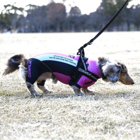 [^:LGE538-3500MD][^LGE538-3500MD]EFAŜɝH{ĂADȂǂ̉ꂩ爤veNgIu4WAYX[p[Xgb`+tbgV[}Dv̗pADڂŃSȂSnƔQ̃tBbgɂ蓮₷܂B܂AōNX̎OՕłUPF50+A[ꎞł莋FłXgb`}`tN^[ɂSǋIJ̓ᒆł̂U͂ACARhbOȂǗlXȃAEghAV[ő劈̃ANeBup[XłBTCY w(cm) (cm) (cm)XS 23 32`36 20`24S 27 35`39 22`262S 29 36`40 22`26M 31 40`44 24`282M 31 44`48 26`303M 35 46`50 27`31L 38 50`54 29`332L 41 54`58 31`353L 43 58`62 33`374L 46 62`66 35`395L 49 67`71 38`42XL 55 71`75 38`422XL 58 79`83 43`473XL 61 87`91 48`524XL 65.5 89`93 52`565XL 70 92`96 57`61DS 31 36`40 23`27DM 35 40`44 26`30BS 29 48`53 33`37BM 31 53`58 36`40BL 33 55`60 39`43CGS 42 48`53 32`36CGM 47 53`58 35`39CGL 52 58`63 38`42HS 34 38`41 18`22HSM 35.5 41`44 20`24HM 37 44`47 21`25HL 40 47`50 23`27yDSzyDMzF_bNXthpyBSzyBMzyBLzFt`uhbNpyCGSzyCGMzyCGLzFR[M[pyHSzyHSMzyHMzyHLzFnEhnp