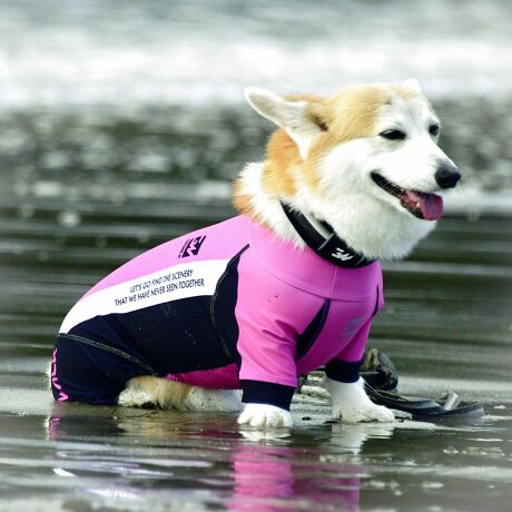 [^:LGE538-4500CG][^LGE538-4500CG]EFAŜɝH{ĂADȂǂ̉ꂩ爤veNgIu4WAYX[p[Xgb`+tbgV[}Dv̗pADڂŃSȂSnƔQ̃tBbgɂ蓮₷܂B܂AōNX̎OՕłUPF50+A[ꎞł莋FłXgb`}`tN^[ɂSǋIJ̓ᒆł̂U͂ACARhbOȂǗlXȃAEghAV[ő劈̃ANeBup[XłBTCY w(cm) (cm) (cm)XS 23 32`36 20`24S 27 35`39 22`262S 29 36`40 22`26M 31 40`44 24`282M 31 44`48 26`303M 35 46`50 27`31L 38 50`54 29`332L 41 54`58 31`353L 43 58`62 33`374L 46 62`66 35`395L 49 67`71 38`42XL 55 71`75 38`422XL 58 79`83 43`473XL 61 87`91 48`524XL 65.5 89`93 52`565XL 70 92`96 57`61DS 31 36`40 23`27DM 35 40`44 26`30BS 29 48`53 33`37BM 31 53`58 36`40BL 33 55`60 39`43CGS 42 48`53 32`36CGM 47 53`58 35`39CGL 52 58`63 38`42HS 34 38`41 18`22HSM 35.5 41`44 20`24HM 37 44`47 21`25HL 40 47`50 23`27yDSzyDMzF_bNXthpyBSzyBMzyBLzFt`uhbNpyCGSzyCGMzyCGLzFR[M[pyHSzyHSMzyHMzyHLzFnEhnp