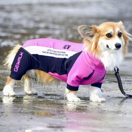 [^:LGE538-5000CG][^LGE538-5000CG]EFAŜɝH{ĂADȂǂ̉ꂩ爤veNgIu4WAYX[p[Xgb`+tbgV[}Dv̗pADڂŃSȂSnƔQ̃tBbgɂ蓮₷܂B܂AōNX̎OՕłUPF50+A[ꎞł莋FłXgb`}`tN^[ɂSǋIJ̓ᒆł̂U͂ACARhbOȂǗlXȃAEghAV[ő劈̃ANeBup[XłBTCY w(cm) (cm) (cm)XS 23 32`36 20`24S 27 35`39 22`262S 29 36`40 22`26M 31 40`44 24`282M 31 44`48 26`303M 35 46`50 27`31L 38 50`54 29`332L 41 54`58 31`353L 43 58`62 33`374L 46 62`66 35`395L 49 67`71 38`42XL 55 71`75 38`422XL 58 79`83 43`473XL 61 87`91 48`524XL 65.5 89`93 52`565XL 70 92`96 57`61DS 31 36`40 23`27DM 35 40`44 26`30BS 29 48`53 33`37BM 31 53`58 36`40BL 33 55`60 39`43CGS 42 48`53 32`36CGM 47 53`58 35`39CGL 52 58`63 38`42HS 34 38`41 18`22HSM 35.5 41`44 20`24HM 37 44`47 21`25HL 40 47`50 23`27yDSzyDMzF_bNXthpyBSzyBMzyBLzFt`uhbNpyCGSzyCGMzyCGLzFR[M[pyHSzyHSMzyHMzyHLzFnEhnp