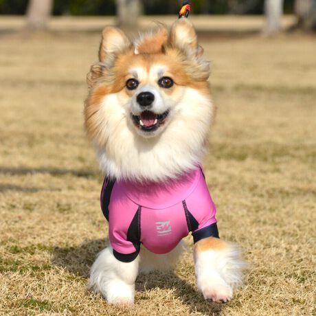 [^:LGE538-5500CG][^LGE538-5500CG]EFAŜɝH{ĂADȂǂ̉ꂩ爤veNgIu4WAYX[p[Xgb`+tbgV[}Dv̗pADڂŃSȂSnƔQ̃tBbgɂ蓮₷܂B܂AōNX̎OՕłUPF50+A[ꎞł莋FłXgb`}`tN^[ɂSǋIJ̓ᒆł̂U͂ACARhbOȂǗlXȃAEghAV[ő劈̃ANeBup[XłBTCY w(cm) (cm) (cm)XS 23 32`36 20`24S 27 35`39 22`262S 29 36`40 22`26M 31 40`44 24`282M 31 44`48 26`303M 35 46`50 27`31L 38 50`54 29`332L 41 54`58 31`353L 43 58`62 33`374L 46 62`66 35`395L 49 67`71 38`42XL 55 71`75 38`422XL 58 79`83 43`473XL 61 87`91 48`524XL 65.5 89`93 52`565XL 70 92`96 57`61DS 31 36`40 23`27DM 35 40`44 26`30BS 29 48`53 33`37BM 31 53`58 36`40BL 33 55`60 39`43CGS 42 48`53 32`36CGM 47 53`58 35`39CGL 52 58`63 38`42HS 34 38`41 18`22HSM 35.5 41`44 20`24HM 37 44`47 21`25HL 40 47`50 23`27yDSzyDMzF_bNXthpyBSzyBMzyBLzFt`uhbNpyCGSzyCGMzyCGLzFR[M[pyHSzyHSMzyHMzyHLzFnEhnp