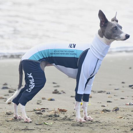 [^:LGE538-4500HO][^LGE538-4500HO]EFAŜɝH{ĂADȂǂ̉ꂩ爤veNgIu4WAYX[p[Xgb`+tbgV[}Dv̗pADڂŃSȂSnƔQ̃tBbgɂ蓮₷܂B܂AōNX̎OՕłUPF50+A[ꎞł莋FłXgb`}`tN^[ɂSǋIJ̓ᒆł̂U͂ACARhbOȂǗlXȃAEghAV[ő劈̃ANeBup[XłBTCY w(cm) (cm) (cm)XS 23 32`36 20`24S 27 35`39 22`262S 29 36`40 22`26M 31 40`44 24`282M 31 44`48 26`303M 35 46`50 27`31L 38 50`54 29`332L 41 54`58 31`353L 43 58`62 33`374L 46 62`66 35`395L 49 67`71 38`42XL 55 71`75 38`422XL 58 79`83 43`473XL 61 87`91 48`524XL 65.5 89`93 52`565XL 70 92`96 57`61DS 31 36`40 23`27DM 35 40`44 26`30BS 29 48`53 33`37BM 31 53`58 36`40BL 33 55`60 39`43CGS 42 48`53 32`36CGM 47 53`58 35`39CGL 52 58`63 38`42HS 34 38`41 18`22HSM 35.5 41`44 20`24HM 37 44`47 21`25HL 40 47`50 23`27yDSzyDMzF_bNXthpyBSzyBMzyBLzFt`uhbNpyCGSzyCGMzyCGLzFR[M[pyHSzyHSMzyHMzyHLzFnEhnp