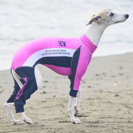 [^:LGE538-5000HO][^LGE538-5000HO]EFAŜɝH{ĂADȂǂ̉ꂩ爤veNgIu4WAYX[p[Xgb`+tbgV[}Dv̗pADڂŃSȂSnƔQ̃tBbgɂ蓮₷܂B܂AōNX̎OՕłUPF50+A[ꎞł莋FłXgb`}`tN^[ɂSǋIJ̓ᒆł̂U͂ACARhbOȂǗlXȃAEghAV[ő劈̃ANeBup[XłBTCY w(cm) (cm) (cm)XS 23 32`36 20`24S 27 35`39 22`262S 29 36`40 22`26M 31 40`44 24`282M 31 44`48 26`303M 35 46`50 27`31L 38 50`54 29`332L 41 54`58 31`353L 43 58`62 33`374L 46 62`66 35`395L 49 67`71 38`42XL 55 71`75 38`422XL 58 79`83 43`473XL 61 87`91 48`524XL 65.5 89`93 52`565XL 70 92`96 57`61DS 31 36`40 23`27DM 35 40`44 26`30BS 29 48`53 33`37BM 31 53`58 36`40BL 33 55`60 39`43CGS 42 48`53 32`36CGM 47 53`58 35`39CGL 52 58`63 38`42HS 34 38`41 18`22HSM 35.5 41`44 20`24HM 37 44`47 21`25HL 40 47`50 23`27yDSzyDMzF_bNXthpyBSzyBMzyBLzFt`uhbNpyCGSzyCGMzyCGLzFR[M[pyHSzyHSMzyHMzyHLzFnEhnp