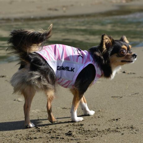 [^:LGE539-2600S][^LGE539-2600SMALL]GƂЂ芴ɂA₩Ȓp܂B𐁂ƋCMɂKɁB܂AōNX̎OՕłtoeTO{⎇O爤܂BSɂ͗[ꎞł莋Fł郊tN^[ɂSǋITCY w(cm) (cm) (cm)XS 23 29`36 20`24S 27 36`42 23`27M 31 42`47 26`30L 35 47`54 30`35XL 40 54`61 35`402XL 50 67`73 41`453XL 60 78`85 49`534XL 70 93`100 58`63DM 35 42`47 26`30BS 29 48`53 32`37BM 31 53`58 35`40BL 33 58`63 38`43yDMzF_bNXthpyBSzyBMzyBLzFt`uhbNp