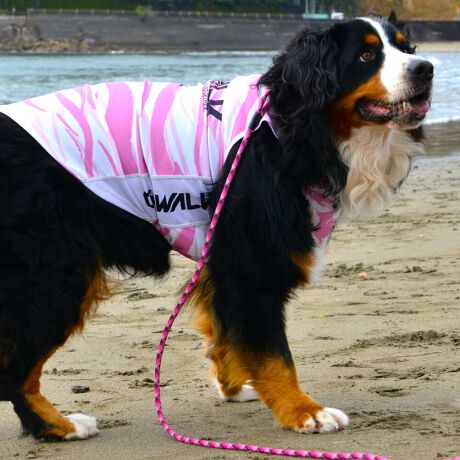 [^:LGE539-4500L][^LGE539-4500LARGE]GƂЂ芴ɂA₩Ȓp܂B𐁂ƋCMɂKɁB܂AōNX̎OՕłtoeTO{⎇O爤܂BSɂ͗[ꎞł莋Fł郊tN^[ɂSǋITCY w(cm) (cm) (cm)XS 23 29`36 20`24S 27 36`42 23`27M 31 42`47 26`30L 35 47`54 30`35XL 40 54`61 35`402XL 50 67`73 41`453XL 60 78`85 49`534XL 70 93`100 58`63DM 35 42`47 26`30BS 29 48`53 32`37BM 31 53`58 35`40BL 33 58`63 38`43yDMzF_bNXthpyBSzyBMzyBLzFt`uhbNp