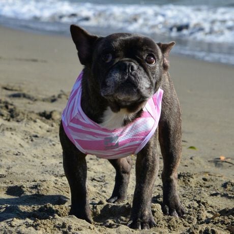 [^:LGE539-3000FB][^LGE539-3000FB]GƂЂ芴ɂA₩Ȓp܂B𐁂ƋCMɂKɁB܂AōNX̎OՕłtoeTO{⎇O爤܂BSɂ͗[ꎞł莋Fł郊tN^[ɂSǋITCY w(cm) (cm) (cm)XS 23 29`36 20`24S 27 36`42 23`27M 31 42`47 26`30L 35 47`54 30`35XL 40 54`61 35`402XL 50 67`73 41`453XL 60 78`85 49`534XL 70 93`100 58`63DM 35 42`47 26`30BS 29 48`53 32`37BM 31 53`58 35`40BL 33 58`63 38`43yDMzF_bNXthpyBSzyBMzyBLzFt`uhbNp