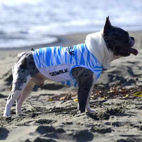 [^:LGE539-3500FB][^LGE539-3500FB]GƂЂ芴ɂA₩Ȓp܂B𐁂ƋCMɂKɁB܂AōNX̎OՕłtoeTO{⎇O爤܂BSɂ͗[ꎞł莋Fł郊tN^[ɂSǋITCY w(cm) (cm) (cm)XS 23 29`36 20`24S 27 36`42 23`27M 31 42`47 26`30L 35 47`54 30`35XL 40 54`61 35`402XL 50 67`73 41`453XL 60 78`85 49`534XL 70 93`100 58`63DM 35 42`47 26`30BS 29 48`53 32`37BM 31 53`58 35`40BL 33 58`63 38`43yDMzF_bNXthpyBSzyBMzyBLzFt`uhbNp