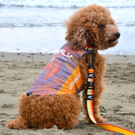 [^:LGE540-2600S][^LGE540-2600SMALL]GƂЂ芴ɂA₩Ȓp܂B𐁂ƋCMɂKɁB܂AōNX̎OՕłtoeTO{⎇O爤܂BSɂ͗[ꎞł莋Fł郊tN^[ɂSǋITCY w(cm) (cm) (cm)XS 23 29`36 20`24S 27 36`42 23`27M 31 42`47 26`30L 35 47`54 30`35XL 40 54`61 35`402XL 50 67`73 41`453XL 60 78`85 49`534XL 70 93`100 58`63DM 35 42`47 26`30BS 29 48`53 32`37BM 31 53`58 35`40BL 33 58`63 38`43yDMzF_bNXthpyBSzyBMzyBLzFt`uhbNp