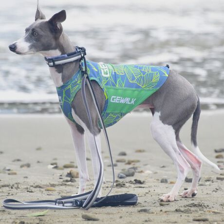 [^:LGE540-3000M][^LGE540-3000MEDIUM]GƂЂ芴ɂA₩Ȓp܂B𐁂ƋCMɂKɁB܂AōNX̎OՕłtoeTO{⎇O爤܂BSɂ͗[ꎞł莋Fł郊tN^[ɂSǋITCY w(cm) (cm) (cm)XS 23 29`36 20`24S 27 36`42 23`27M 31 42`47 26`30L 35 47`54 30`35XL 40 54`61 35`402XL 50 67`73 41`453XL 60 78`85 49`534XL 70 93`100 58`63DM 35 42`47 26`30BS 29 48`53 32`37BM 31 53`58 35`40BL 33 58`63 38`43yDMzF_bNXthpyBSzyBMzyBLzFt`uhbNp