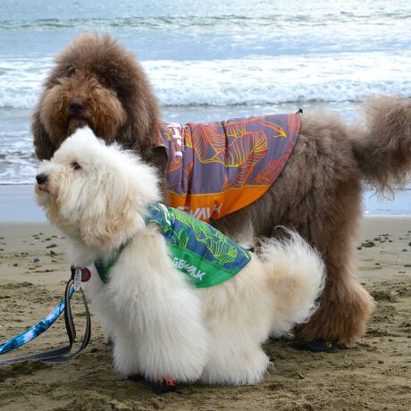 [^:LGE540-4500L][^LGE540-4500LARGE]GƂЂ芴ɂA₩Ȓp܂B𐁂ƋCMɂKɁB܂AōNX̎OՕłtoeTO{⎇O爤܂BSɂ͗[ꎞł莋Fł郊tN^[ɂSǋITCY w(cm) (cm) (cm)XS 23 29`36 20`24S 27 36`42 23`27M 31 42`47 26`30L 35 47`54 30`35XL 40 54`61 35`402XL 50 67`73 41`453XL 60 78`85 49`534XL 70 93`100 58`63DM 35 42`47 26`30BS 29 48`53 32`37BM 31 53`58 35`40BL 33 58`63 38`43yDMzF_bNXthpyBSzyBMzyBLzFt`uhbNp