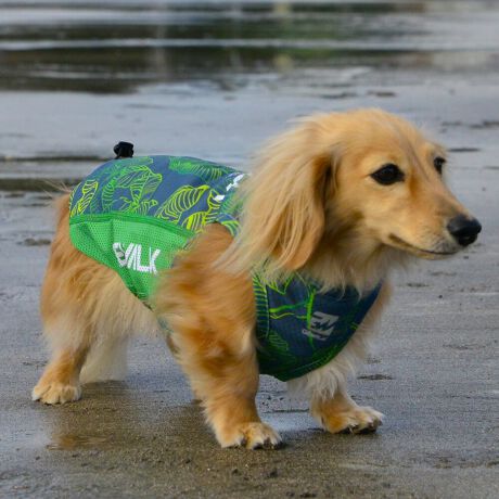 [^:LGE540-3000MD][^LGE540-3000MD]GƂЂ芴ɂA₩Ȓp܂B𐁂ƋCMɂKɁB܂AōNX̎OՕłtoeTO{⎇O爤܂BSɂ͗[ꎞł莋Fł郊tN^[ɂSǋITCY w(cm) (cm) (cm)XS 23 29`36 20`24S 27 36`42 23`27M 31 42`47 26`30L 35 47`54 30`35XL 40 54`61 35`402XL 50 67`73 41`453XL 60 78`85 49`534XL 70 93`100 58`63DM 35 42`47 26`30BS 29 48`53 32`37BM 31 53`58 35`40BL 33 58`63 38`43yDMzF_bNXthpyBSzyBMzyBLzFt`uhbNp