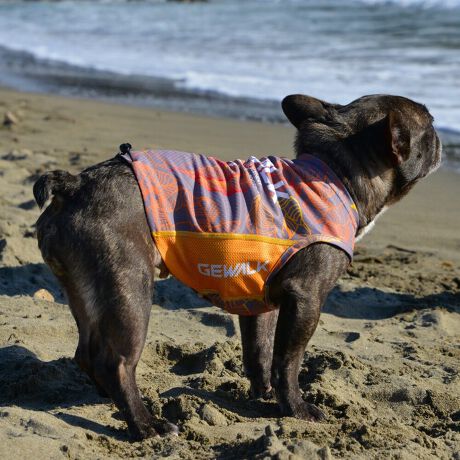 [^:LGE540-3000FB][^LGE540-3000FB]GƂЂ芴ɂA₩Ȓp܂B𐁂ƋCMɂKɁB܂AōNX̎OՕłtoeTO{⎇O爤܂BSɂ͗[ꎞł莋Fł郊tN^[ɂSǋITCY w(cm) (cm) (cm)XS 23 29`36 20`24S 27 36`42 23`27M 31 42`47 26`30L 35 47`54 30`35XL 40 54`61 35`402XL 50 67`73 41`453XL 60 78`85 49`534XL 70 93`100 58`63DM 35 42`47 26`30BS 29 48`53 32`37BM 31 53`58 35`40BL 33 58`63 38`43yDMzF_bNXthpyBSzyBMzyBLzFt`uhbNp