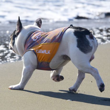 [^:LGE540-3500FB][^LGE540-3500FB]GƂЂ芴ɂA₩Ȓp܂B𐁂ƋCMɂKɁB܂AōNX̎OՕłtoeTO{⎇O爤܂BSɂ͗[ꎞł莋Fł郊tN^[ɂSǋITCY w(cm) (cm) (cm)XS 23 29`36 20`24S 27 36`42 23`27M 31 42`47 26`30L 35 47`54 30`35XL 40 54`61 35`402XL 50 67`73 41`453XL 60 78`85 49`534XL 70 93`100 58`63DM 35 42`47 26`30BS 29 48`53 32`37BM 31 53`58 35`40BL 33 58`63 38`43yDMzF_bNXthpyBSzyBMzyBLzFt`uhbNp