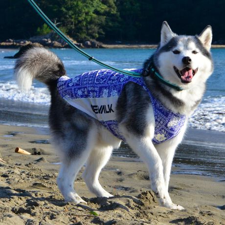 [^:LGE541-3500L][^LGE541-3500LARGE]ōNX̎OՕłtoeTO{⎇O爤܂IɗDA𐁂ƋCMɂKɁB܂AuSv`xX[p[Xgb`{tbgV[}Dv̗pADڂŃSȂSnƔQ̃tBbgɂ蓮₷܂BtuJbgAՔMʂAUhbOɂ߂ŁA₷TVF[h^NgbvłBTCY w(cm) (cm) (cm)XS 23 29`36 20`24S 27 36`42 23`27M 31 42`47 26`30L 35 47`54 30`35XL 40 54`61 35`402XL 50 67`73 41`453XL 60 78`85 49`534XL 70 93`100 58`63DM 35 42`47 26`30BS 29 48`53 32`37BM 31 53`58 35`40BL 33 58`63 38`43yDMzF_bNXthpyBSzyBMzyBLzFt`uhbNp