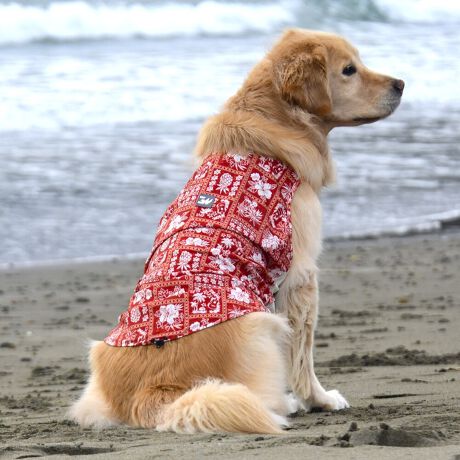 [^:LGE541-4000L][^LGE541-4000LARGE]ōNX̎OՕłtoeTO{⎇O爤܂IɗDA𐁂ƋCMɂKɁB܂AuSv`xX[p[Xgb`{tbgV[}Dv̗pADڂŃSȂSnƔQ̃tBbgɂ蓮₷܂BtuJbgAՔMʂAUhbOɂ߂ŁA₷TVF[h^NgbvłBTCY w(cm) (cm) (cm)XS 23 29`36 20`24S 27 36`42 23`27M 31 42`47 26`30L 35 47`54 30`35XL 40 54`61 35`402XL 50 67`73 41`453XL 60 78`85 49`534XL 70 93`100 58`63DM 35 42`47 26`30BS 29 48`53 32`37BM 31 53`58 35`40BL 33 58`63 38`43yDMzF_bNXthpyBSzyBMzyBLzFt`uhbNp