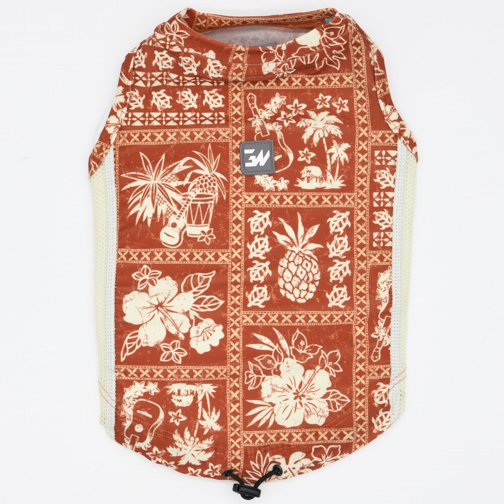 [}C]LGE541 ANeBu TVF[h ^Ngbv ^/WEH[NiGEWALKj bh