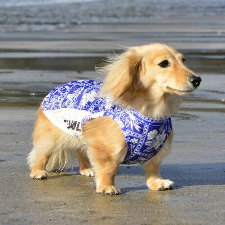 [^:LGE541-3000MD][^LGE541-3000MD]ōNX̎OՕłtoeTO{⎇O爤܂IɗDA𐁂ƋCMɂKɁB܂AuSv`xX[p[Xgb`{tbgV[}Dv̗pADڂŃSȂSnƔQ̃tBbgɂ蓮₷܂BtuJbgAՔMʂAUhbOɂ߂ŁA₷TVF[h^NgbvłBTCY w(cm) (cm) (cm)XS 23 29`36 20`24S 27 36`42 23`27M 31 42`47 26`30L 35 47`54 30`35XL 40 54`61 35`402XL 50 67`73 41`453XL 60 78`85 49`534XL 70 93`100 58`63DM 35 42`47 26`30BS 29 48`53 32`37BM 31 53`58 35`40BL 33 58`63 38`43yDMzF_bNXthpyBSzyBMzyBLzFt`uhbNp