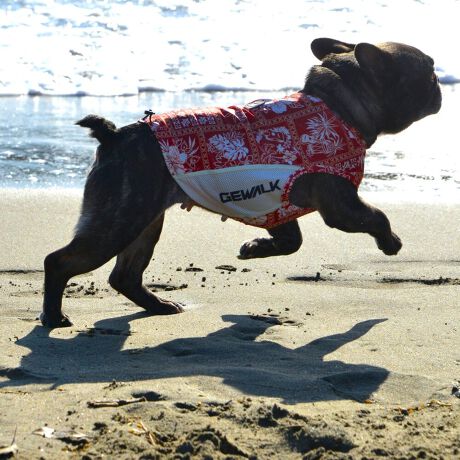 [^:LGE541-3000FB][^LGE541-3000FB]ōNX̎OՕłtoeTO{⎇O爤܂IɗDA𐁂ƋCMɂKɁB܂AuSv`xX[p[Xgb`{tbgV[}Dv̗pADڂŃSȂSnƔQ̃tBbgɂ蓮₷܂BtuJbgAՔMʂAUhbOɂ߂ŁA₷TVF[h^NgbvłBTCY w(cm) (cm) (cm)XS 23 29`36 20`24S 27 36`42 23`27M 31 42`47 26`30L 35 47`54 30`35XL 40 54`61 35`402XL 50 67`73 41`453XL 60 78`85 49`534XL 70 93`100 58`63DM 35 42`47 26`30BS 29 48`53 32`37BM 31 53`58 35`40BL 33 58`63 38`43yDMzF_bNXthpyBSzyBMzyBLzFt`uhbNp