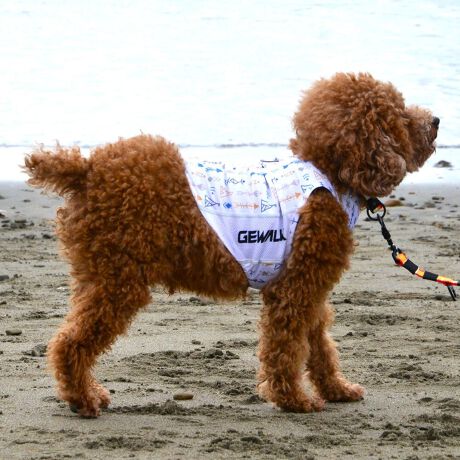 [^:LGE542-2600S]ōNX̎OՕłtoeTO{⎇O爤܂IɗDA𐁂ƋCMɂKɁB܂AuSv`xX[p[Xgb`{tbgV[}Dv̗pADڂŃSȂSnƔQ̃tBbgɂ蓮₷܂BtuJbgAՔMʂAUhbOɂ߂ŁA₷TVF[h^NgbvłBTCY w(cm) (cm) (cm)XS 23 29`36 20`24S 27 36`42 23`27M 31 42`47 26`30L 35 47`54 30`35XL 40 54`61 35`402XL 50 67`73 41`453XL 60 78`85 49`534XL 70 93`100 58`63DM 35 42`47 26`30BS 29 48`53 32`37BM 31 53`58 35`40BL 33 58`63 38`43yDMzF_bNXthpyBSzyBMzyBLzFt`uhbNp