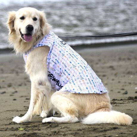 [^:LGE542-3500L]ōNX̎OՕłtoeTO{⎇O爤܂IɗDA𐁂ƋCMɂKɁB܂AuSv`xX[p[Xgb`{tbgV[}Dv̗pADڂŃSȂSnƔQ̃tBbgɂ蓮₷܂BtuJbgAՔMʂAUhbOɂ߂ŁA₷TVF[h^NgbvłBTCY w(cm) (cm) (cm)XS 23 29`36 20`24S 27 36`42 23`27M 31 42`47 26`30L 35 47`54 30`35XL 40 54`61 35`402XL 50 67`73 41`453XL 60 78`85 49`534XL 70 93`100 58`63DM 35 42`47 26`30BS 29 48`53 32`37BM 31 53`58 35`40BL 33 58`63 38`43yDMzF_bNXthpyBSzyBMzyBLzFt`uhbNp