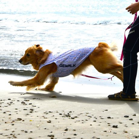 [^:LGE542-4500L]ōNX̎OՕłtoeTO{⎇O爤܂IɗDA𐁂ƋCMɂKɁB܂AuSv`xX[p[Xgb`{tbgV[}Dv̗pADڂŃSȂSnƔQ̃tBbgɂ蓮₷܂BtuJbgAՔMʂAUhbOɂ߂ŁA₷TVF[h^NgbvłBTCY w(cm) (cm) (cm)XS 23 29`36 20`24S 27 36`42 23`27M 31 42`47 26`30L 35 47`54 30`35XL 40 54`61 35`402XL 50 67`73 41`453XL 60 78`85 49`534XL 70 93`100 58`63DM 35 42`47 26`30BS 29 48`53 32`37BM 31 53`58 35`40BL 33 58`63 38`43yDMzF_bNXthpyBSzyBMzyBLzFt`uhbNp