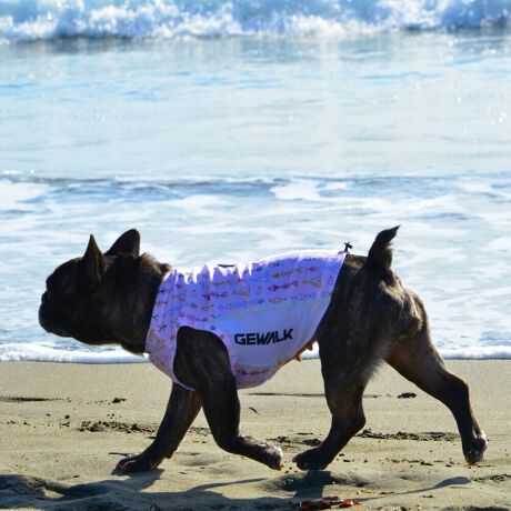 [^:LGE542-3000FB]ōNX̎OՕłtoeTO{⎇O爤܂IɗDA𐁂ƋCMɂKɁB܂AuSv`xX[p[Xgb`{tbgV[}Dv̗pADڂŃSȂSnƔQ̃tBbgɂ蓮₷܂BtuJbgAՔMʂAUhbOɂ߂ŁA₷TVF[h^NgbvłBTCY w(cm) (cm) (cm)XS 23 29`36 20`24S 27 36`42 23`27M 31 42`47 26`30L 35 47`54 30`35XL 40 54`61 35`402XL 50 67`73 41`453XL 60 78`85 49`534XL 70 93`100 58`63DM 35 42`47 26`30BS 29 48`53 32`37BM 31 53`58 35`40BL 33 58`63 38`43yDMzF_bNXthpyBSzyBMzyBLzFt`uhbNp