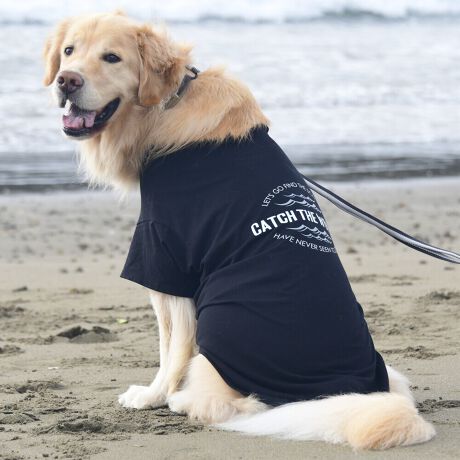 [^:LGE545-3800L]RbgPOOOtBbNsVcBZ߂œ₷EȒPȃx[VbNfłBOɂ̓Ső̂ɃtBbgI͂̎Aql܂ł̖LxȃTCYoG[VłBƑ݂ȂR[fł݂Ƃ̂ȂiFAꏏɒTɍsITCY w(cm) (cm) (cm)XS 23 29`36 20`24S 27 36`42 23`27M 31 42`47 26`30L 35 47`54 30`35XL 40 54`61 35`402XL 50 67`73 41`453XL 60 78`85 49`534XL 70 93`100 58`63DS 31 36`42 23`27DM 35 42`47 26`30BM 31 53`58 35`40BL 33 58`63 38`43CG 47 50`57 34`39yDSzyDMzF_bNXthpyBMzyBLzFt`uhbNpyCGzFR[M[p