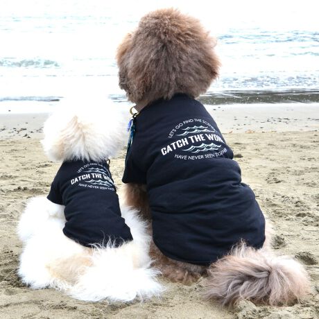 [^:LGE545-4200L]RbgPOOOtBbNsVcBZ߂œ₷EȒPȃx[VbNfłBOɂ̓Ső̂ɃtBbgI͂̎Aql܂ł̖LxȃTCYoG[VłBƑ݂ȂR[fł݂Ƃ̂ȂiFAꏏɒTɍsITCY w(cm) (cm) (cm)XS 23 29`36 20`24S 27 36`42 23`27M 31 42`47 26`30L 35 47`54 30`35XL 40 54`61 35`402XL 50 67`73 41`453XL 60 78`85 49`534XL 70 93`100 58`63DS 31 36`42 23`27DM 35 42`47 26`30BM 31 53`58 35`40BL 33 58`63 38`43CG 47 50`57 34`39yDSzyDMzF_bNXthpyBMzyBLzFt`uhbNpyCGzFR[M[p