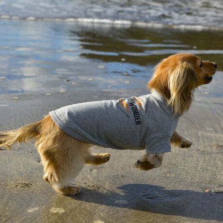 [^:LGE545-2500MD]RbgPOOOtBbNsVcBZ߂œ₷EȒPȃx[VbNfłBOɂ̓Ső̂ɃtBbgI͂̎Aql܂ł̖LxȃTCYoG[VłBƑ݂ȂR[fł݂Ƃ̂ȂiFAꏏɒTɍsITCY w(cm) (cm) (cm)XS 23 29`36 20`24S 27 36`42 23`27M 31 42`47 26`30L 35 47`54 30`35XL 40 54`61 35`402XL 50 67`73 41`453XL 60 78`85 49`534XL 70 93`100 58`63DS 31 36`42 23`27DM 35 42`47 26`30BM 31 53`58 35`40BL 33 58`63 38`43CG 47 50`57 34`39yDSzyDMzF_bNXthpyBMzyBLzFt`uhbNpyCGzFR[M[p