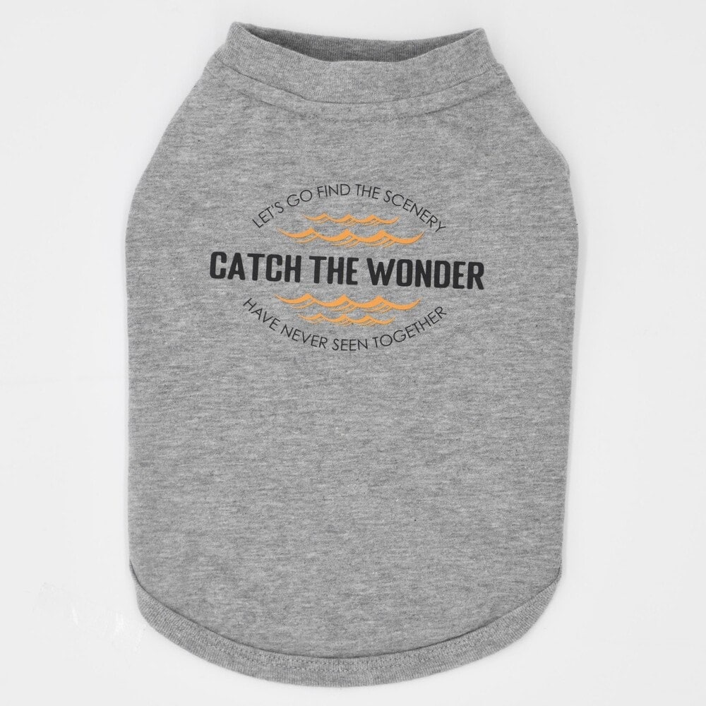 [}C]LGE545 Z^[ EF[u vg OtBbNTVc ~j`A_bNXthp/WEH[NiGEWALKj ۃO[