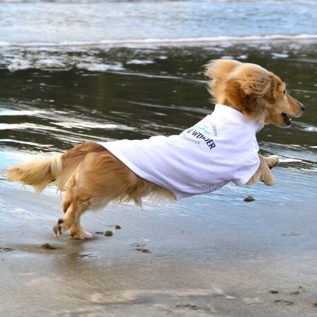 [^:LGE545-2600MD]RbgPOOOtBbNsVcBZ߂œ₷EȒPȃx[VbNfłBOɂ̓Ső̂ɃtBbgI͂̎Aql܂ł̖LxȃTCYoG[VłBƑ݂ȂR[fł݂Ƃ̂ȂiFAꏏɒTɍsITCY w(cm) (cm) (cm)XS 23 29`36 20`24S 27 36`42 23`27M 31 42`47 26`30L 35 47`54 30`35XL 40 54`61 35`402XL 50 67`73 41`453XL 60 78`85 49`534XL 70 93`100 58`63DS 31 36`42 23`27DM 35 42`47 26`30BM 31 53`58 35`40BL 33 58`63 38`43CG 47 50`57 34`39yDSzyDMzF_bNXthpyBMzyBLzFt`uhbNpyCGzFR[M[p