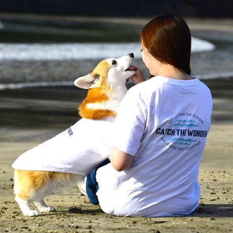 [^:LGE545-3000CG]RbgPOOOtBbNsVcBZ߂œ₷EȒPȃx[VbNfłBOɂ̓Ső̂ɃtBbgI͂̎Aql܂ł̖LxȃTCYoG[VłBƑ݂ȂR[fł݂Ƃ̂ȂiFAꏏɒTɍsITCY w(cm) (cm) (cm)XS 23 29`36 20`24S 27 36`42 23`27M 31 42`47 26`30L 35 47`54 30`35XL 40 54`61 35`402XL 50 67`73 41`453XL 60 78`85 49`534XL 70 93`100 58`63DS 31 36`42 23`27DM 35 42`47 26`30BM 31 53`58 35`40BL 33 58`63 38`43CG 47 50`57 34`39yDSzyDMzF_bNXthpyBMzyBLzFt`uhbNpyCGzFR[M[p