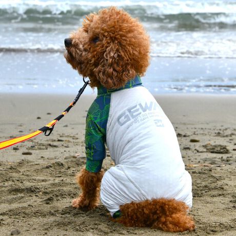 [^:LGE544-3600S][^LGE544-3600SMALL]⊴hiꃁg[jƋzM⊴iAR[ނȂǗʂɓ⊴vgHAuSv`xXgb`{tbgV[}Dv̗pADڂŃSȂSnƔQ̃tBbgɂ蓮₷܂B܂AOՕtoeTO{A[ꎞł莋FłXgb`}`tN^[ɂSǋITCY w(cm) (cm) (cm)XS 23 32`36 20`24S 27 35`39 22`262S 29 36`40 22`26M 31 40`44 24`282M 31 44`48 26`303M 35 46`50 27`31L 38 50`54 29`332L 41 54`58 31`353L 43 58`62 33`374L 46 62`66 35`395L 49 67`71 38`42XL 55 71`75 38`422XL 58 79`83 43`473XL 61 87`91 48`524XL 65.5 89`93 52`565XL 70 92`96 57`61DS 31 36`40 23`27DM 35 40`44 26`30BS 29 48`53 33`37BM 31 53`58 36`40BL 33 55`60 39`43CGS 42 48`53 32`36CGM 47 53`58 35`39CGL 52 58`63 38`42HS 34 38`41 18`22HSM 35.5 41`44 20`24HM 37 44`47 21`25HL 40 47`50 23`27yDSzyDMzF_bNXthpyBSzyBMzyBLzFt`uhbNpyCGSzyCGMzyCGLzFR[M[pyHSzyHSMzyHMzyHLzFnEhnp